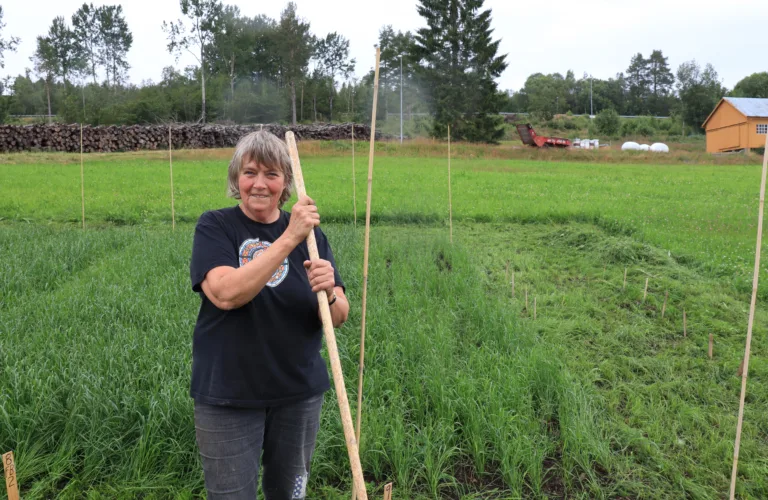 Næring fra havet som gjødsel i jordbruket