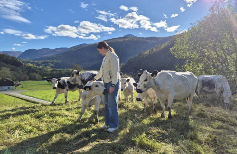 Økologisk drift gir høyere dekningsbidrag
