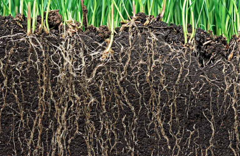 Klimaendringer tapper karbon fra matjorda