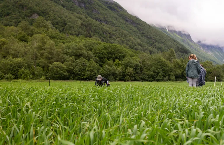 Få praktisk fagstoff som er relevant for sesongen rett i innboksen.