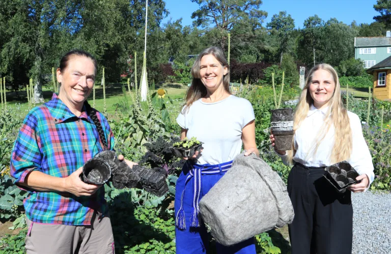 Ull i stedet for plast i plantedyrking?