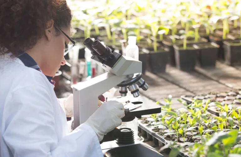 Økologiske prinsipper følges ikke alltid når det forskes på driftsformen