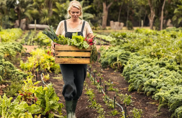Dyrk din egen økologiske mat