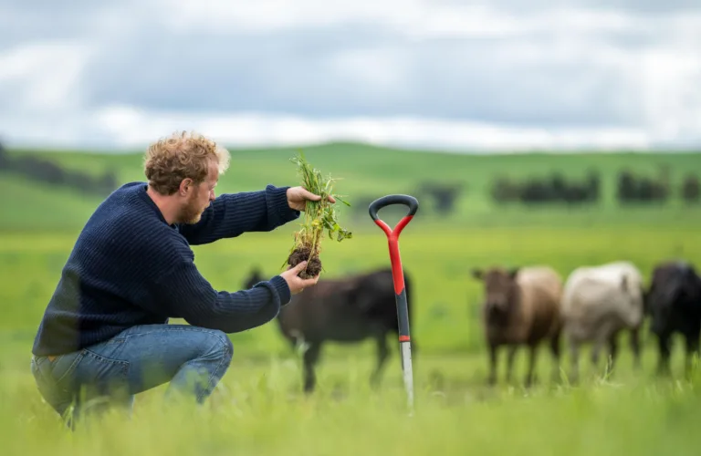 Økologisk drift gir lavere miljøpåvirkning