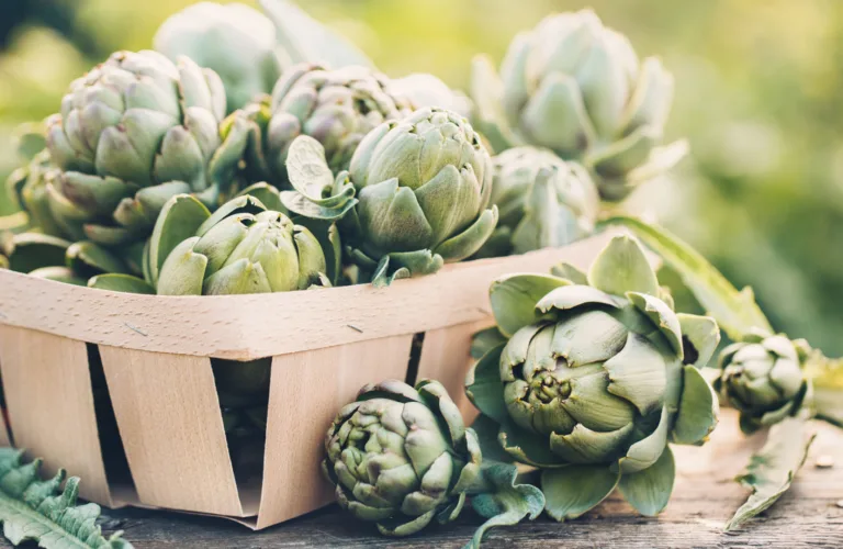 Artiskokk, jordskokk og kinaskokk – både for hage og kokk