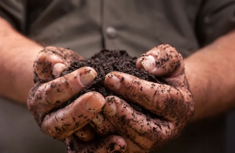 Karbonlagring i jord, klimagassutslipp og økte avlinger