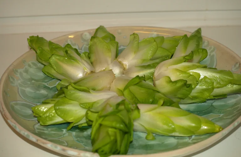 Dyrking av julesalat