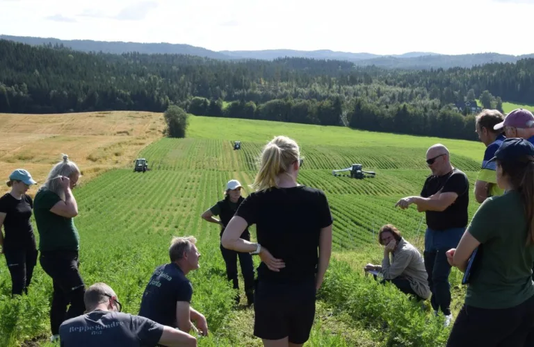 Nabosamarbeid for mer økologisk gulrot, bedre grovfôr og et sterkere fellesskap