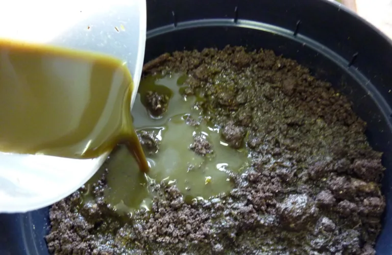 Råtnerest fra biogassanlegg som gjødsel