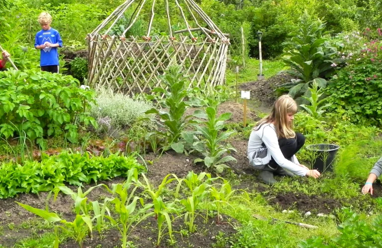 Aktivitetshefter for skolehagen