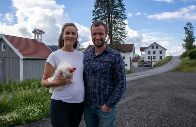 Trivsel med økologiske høner i Ringsaker