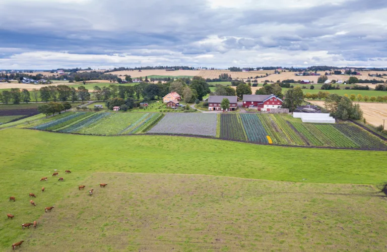 Historien peker framover: En omtale av boka «Hundre år med biodynamisk landbruk»