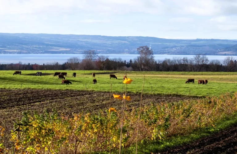 Blomstrende mangfold i fruktbar jord