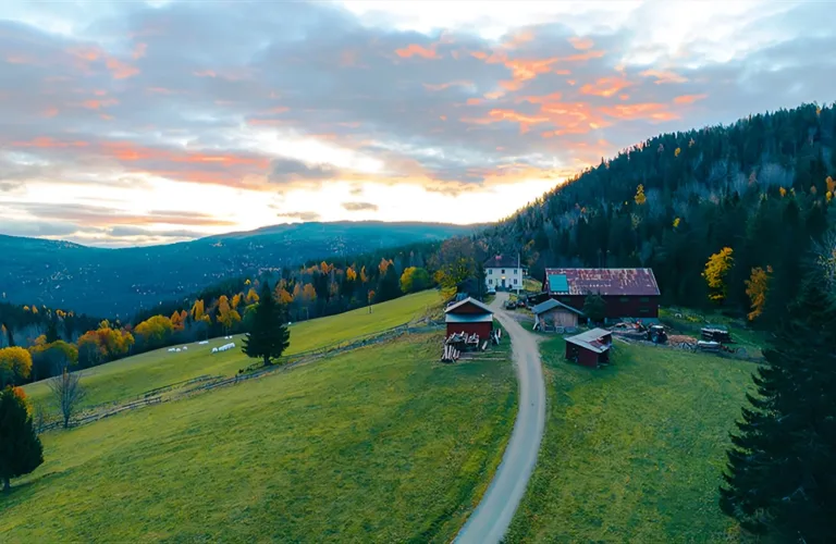  Tjønnås Økogard – med himmelen som nærmeste nabo
