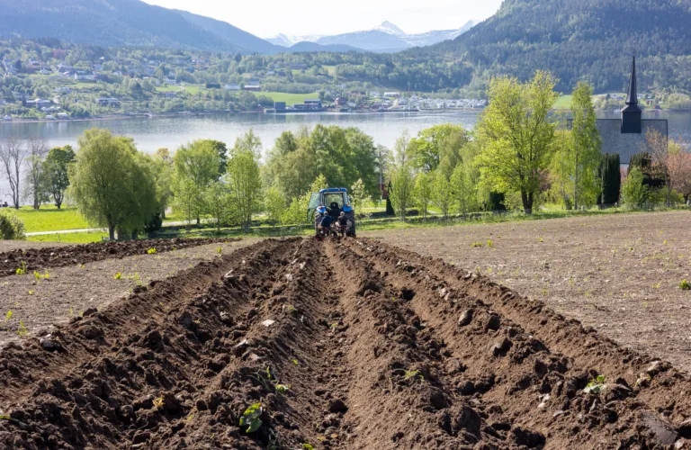 Økologisk landbruk som spydspiss