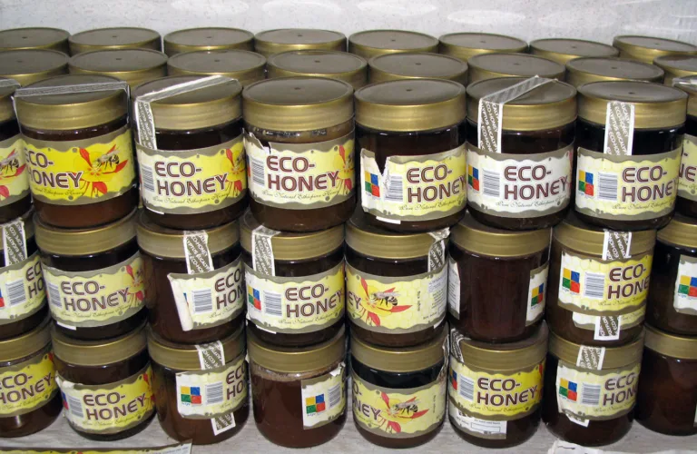 Miljøregnskap for importert økologisk mat