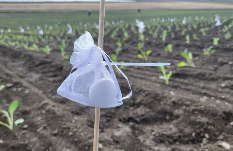 Biokontroll – et verktøy innenfor helhetlig plantevernsstrategi