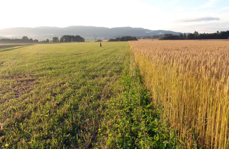 Verdier bestemmer valg av driftsform