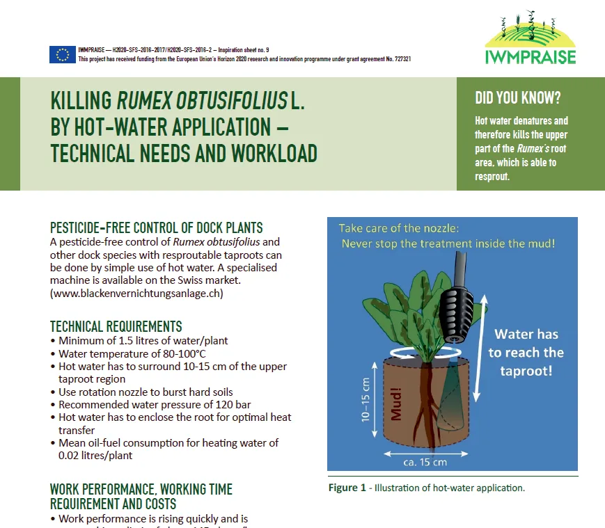 Et av inspirasjonsarkene fra prosjektet handler om hvordan hett vann dreper høymoleplanter.