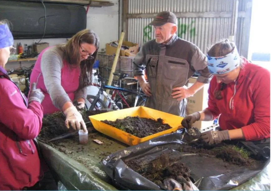 Det blei sortert ut meitemark frå jordblokkene for hand. All jorda i klumpen vart sjekka, særleg mellom røter og i torva med gras og røter. Frå venstre Reidun Pommeresche, Annlaug Fludal, Kolbjørn Anda (Gardbrukaren som var vertskap) og Bjørg Karin Dysjaland