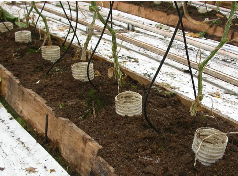 Vertikale drensrør kan være et praktisk tiltak for å innarbeide fast gjødsel uten ammoniakkutslipp. Etter Ögren, 2019, foto: Johan Ascard