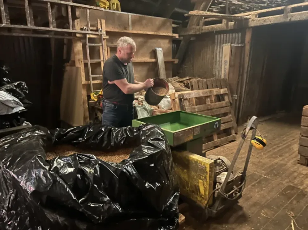 Etter muse- og rottefri lagring av tørt (15-20 % vann) og helt korn i lufttett plastsekk, finmaler feltvert Lars Kristian Grude kornet i kvern rett før utfôring