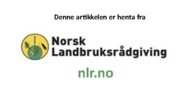 Annonse Nlr