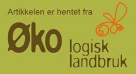 Annonse Økologisk Landbruk