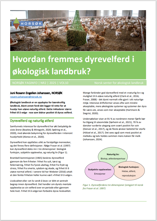 Faginfo Dyrevelferd Økologisk Landbruk 2025