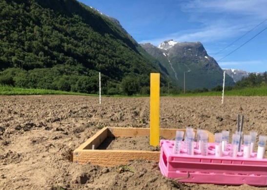 Testene dekket ulike aspekter av jordhelse, inkludert innhold av organisk materiale, karbonfraksjoner, jordbiologi og biologisk aktivitet. Foto: Reidun Pommeresche