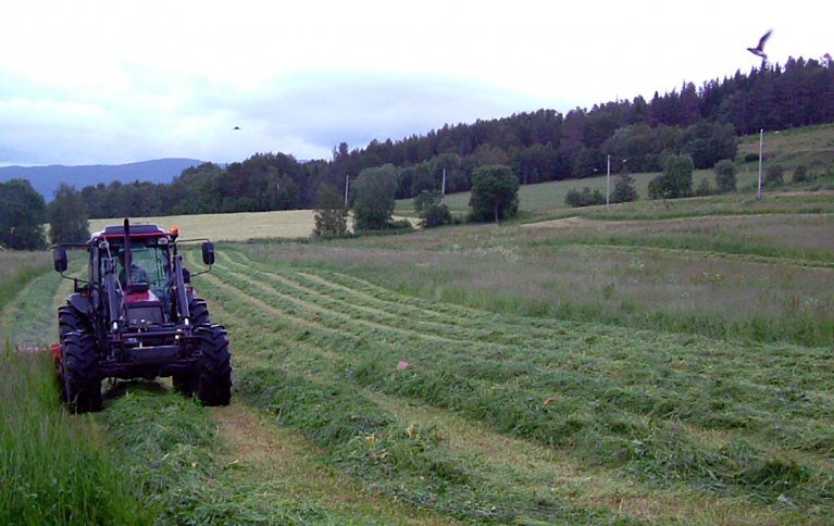 Karbon finnes i organiske molekyler i planteavlinger, i røtter, jordliv, jorda og sjåføren på dette jordet. I tillegg finnes det karbon i traktoren, i vann og som CO2 i lufta. Foto: Reidun Pommeresche