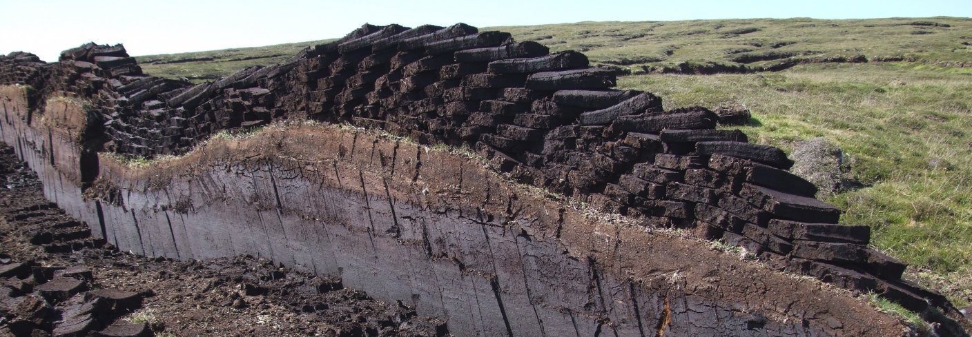 TORV: Torv fra myr egner seg svært godt som vekstmedium til planter, men samtidig hindrer utvinningen karbonlagring i myr. Dyrkere er avhengig av gode alternativer for å fase ut bruken av torv. Foto: nz_willowherb (CC BY-NC 2.0) www.flickr.com. Foto: nz_willowherb (CC BY-NC 2.0) www.flickr.com