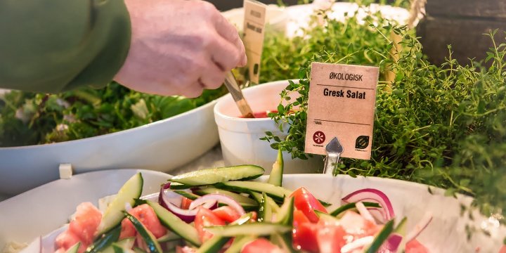 Gresk Salat Foto Debio Illustrasjonsfoto. Foto: Debio