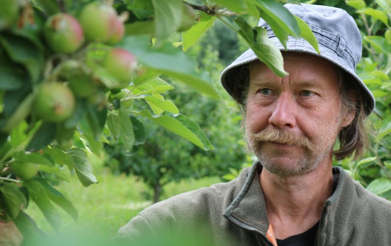 Olav Jønsi er fornøyd med sesongen så langt, og tror det kan bli en god fruktavling i år. Foto: Ole Engen