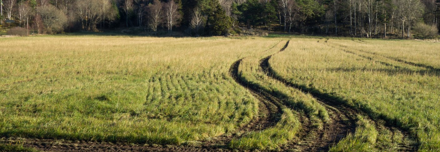 Store landbruksmaskiner kan sette dype spor på dyrket mark. Faste kjørespor er et godt virkemiddel for å berge røtter og nitrogenopptak i jorda. Foto: Public domain