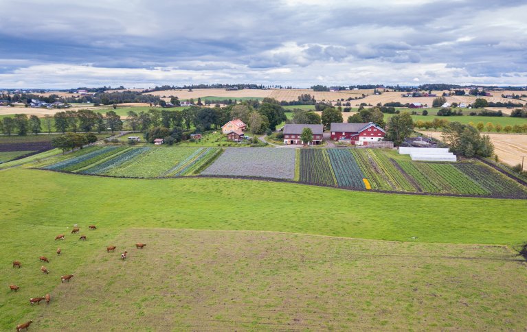 Foto: Alm Østre ligger ved Mjøsa og er en av de eldste og mest tradisjonsrike biodynamiske gårdene i Norge. Nå har Morten Ingvaldsen og Emil Mohr oppsummert historien som la grunnlaget for denne driftsmetoden her til lands Foto: Sebastian Bühler