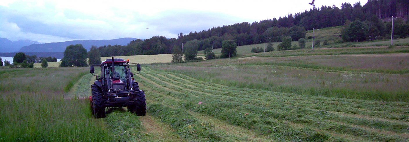 Karbon finnes i organiske molekyler i planteavlinger, i røtter, jordliv, jorda og sjåføren på dette jordet. I tillegg finnes det karbon i traktoren, i vann og som CO2 i lufta. Foto: Reidun Pommeresche