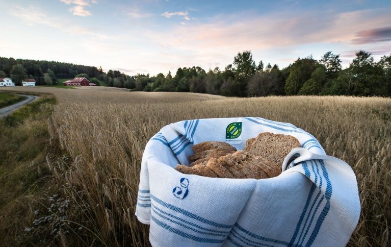 Bruk av lokale og fornybare ressurser, resirkulering av næringsstoffer og oppbygging av organisk materiale i jord kan redusere jordbrukets utslipp av klimagasser. Foto: Debio