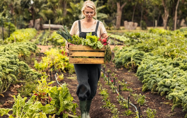 MER MAT ENN MANGE TROR: En kjøkkenhage kan produsere mye mat bare man har litt kunnskap om jord og planter. Nå har du tilgang til NORSØKs rike erfaring innen økologisk dyrking. . Foto: Adobe stock