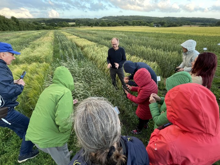 Anders Borgen inspirerer korninteresserte med interessante fakta og gode historier om de unike sortene som dyrkes på Agrologicas forsøksfelt i Mariager. Foto: Anniken Stensrud