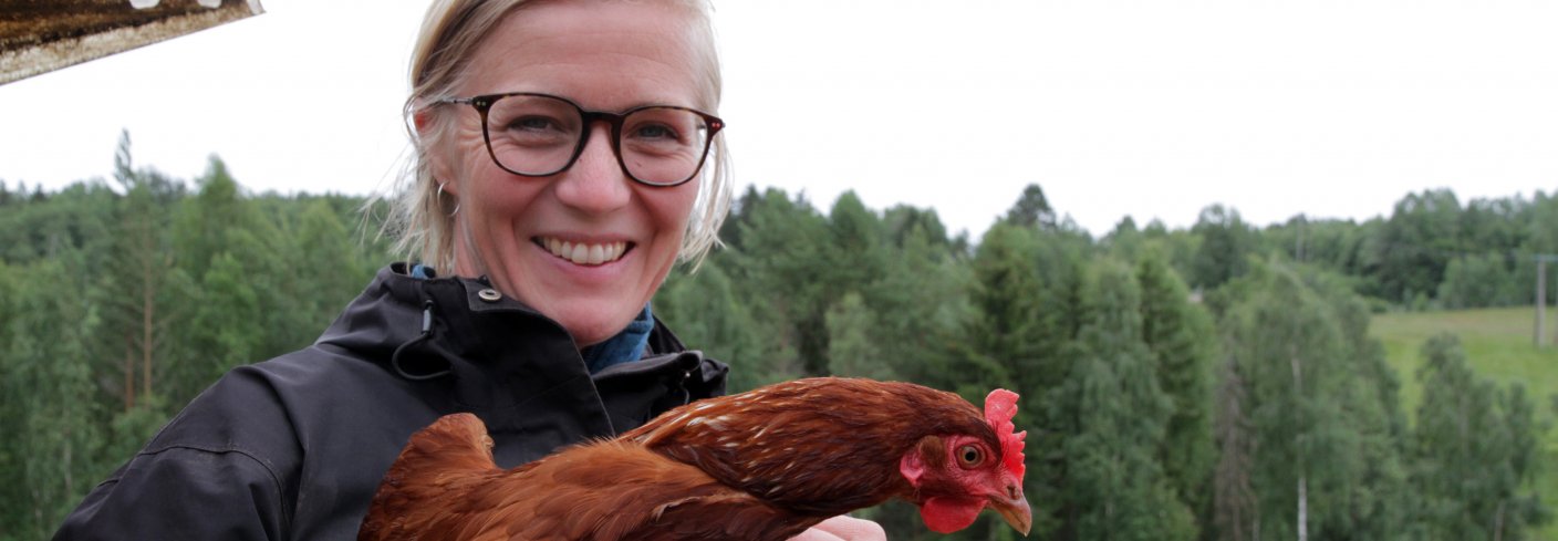Mari Sandsund har 70 lykkelige og supertamme høner som flytter rundt i de «grønne enger». Foto: Anita Land