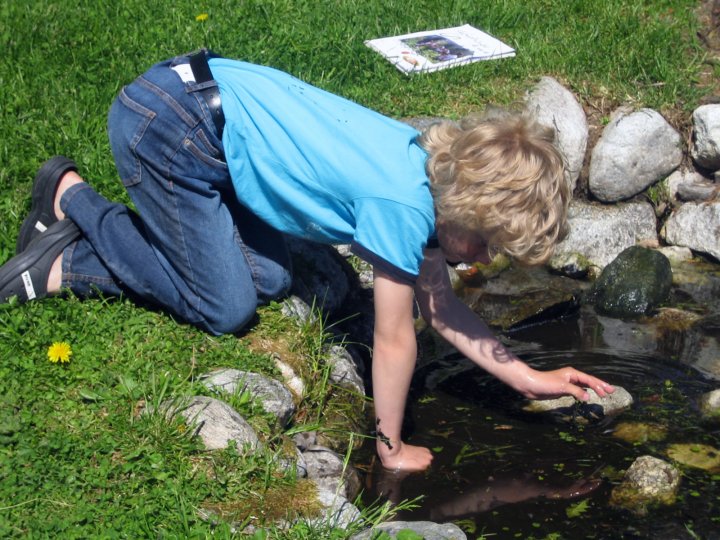 Froskedammen i skolehagen er en viktig del av hagens økosystem. En elev har valgt denne som sin spesielle flekk som han skal følge gjennom sesongen. Observasjoner og betraktninger tegnes og beskrives i loggboken. Foto: Kirsty McKinnon