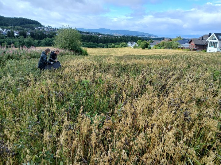 Foto: Sara Hansdotter