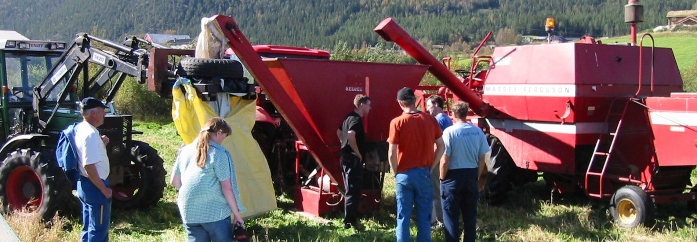 Her ser vi hele operasjonen fra treskertanken oppi krosseren og i storsekk, som henger i frontlasteren. . Foto:  Rune Granås