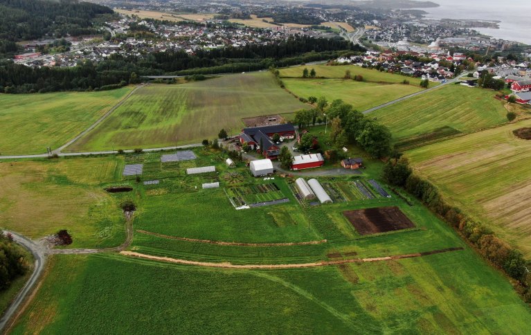 Reppe Søndre er en svært allsidig gård som er verdifull både for matproduksjon og som arena for flere sosiale initiativ. Foto: Lars Olav Stavnes