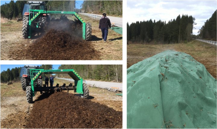 Kompostranke med CMC-metoden. Ranken ble blandet med kompostvender og tildekket med kompostduk. Foto: Reidun Pommeresche