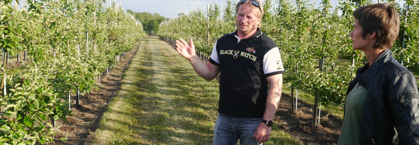 Bjerketvedt P1010443 - Skal det være bærekraftig økonomisk, handler det om volum. Økofrukt er i kraftig vekst som en svært ettertraktet vare og vi produserer derfor noe det er stor etterspørsel etter. Dessuten har jo media fått det til at jeg skal ha sagt at Østfold skal bli landets ledende fruktdistrikt, sier Bjerketvedt. Foto: Frøydis Linden / FMHO