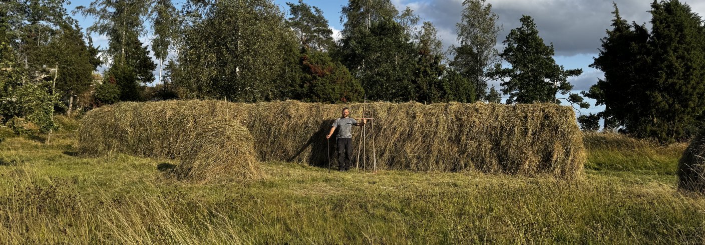 Her står Emil etter slått med ljå på Rävbacken. Foto: Emil V. Nilsson