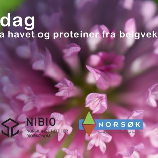 Markdag Kløver Og Fiskegjødsel 1080 Jpg Markdag Kløver Og Fiskegjødsel 1080 Jpg