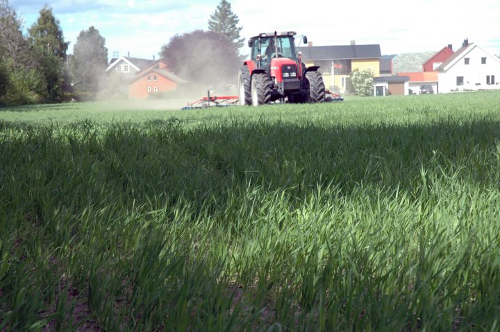 Ugrasharving i økologisk bygg på Melhus. Foto: Jon Schärer